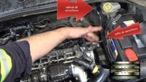 <CENTER>CitroAuto: Tus expertos en Citroen</CENTER>