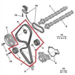 Campaña de Citroën: Todo lo que debes saber sobre la correa de distribución