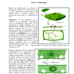 ¿Qué es mejor, ACEA C3 o C4? Descubre la comparativa completa Qué hacer si en tu Citroën C3 se enciende la luz de temperatura: guía completa